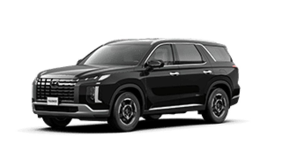 Hyundai Palisade, Tucson, Venue 2024 summer campaing